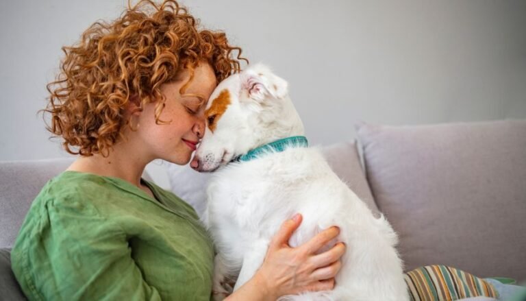 pet em condomínios, como cuidar e evitar problemas