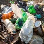 Acesso à coleta de lixo e à rede de esgoto cresce no país