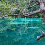 Com o ecoturismo em alta, interior do Mato Grosso desponta como opção de lazer