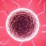 Dr. Paulo Gallo lança livro sobre psicologia e infertilidade