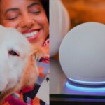 Alexa traz conteúdos sobre nutrição e saúde de cães e gatos