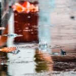 Temporada de chuvas acende alerta para doenças contagiosas