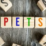 Espaço Pet em Condomínios: Promovendo o Bem-Estar e a Segurança