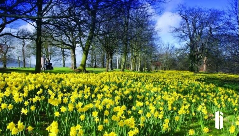 Irlanda na Primavera