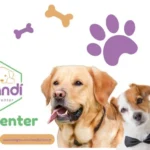 Mandí Pet Center